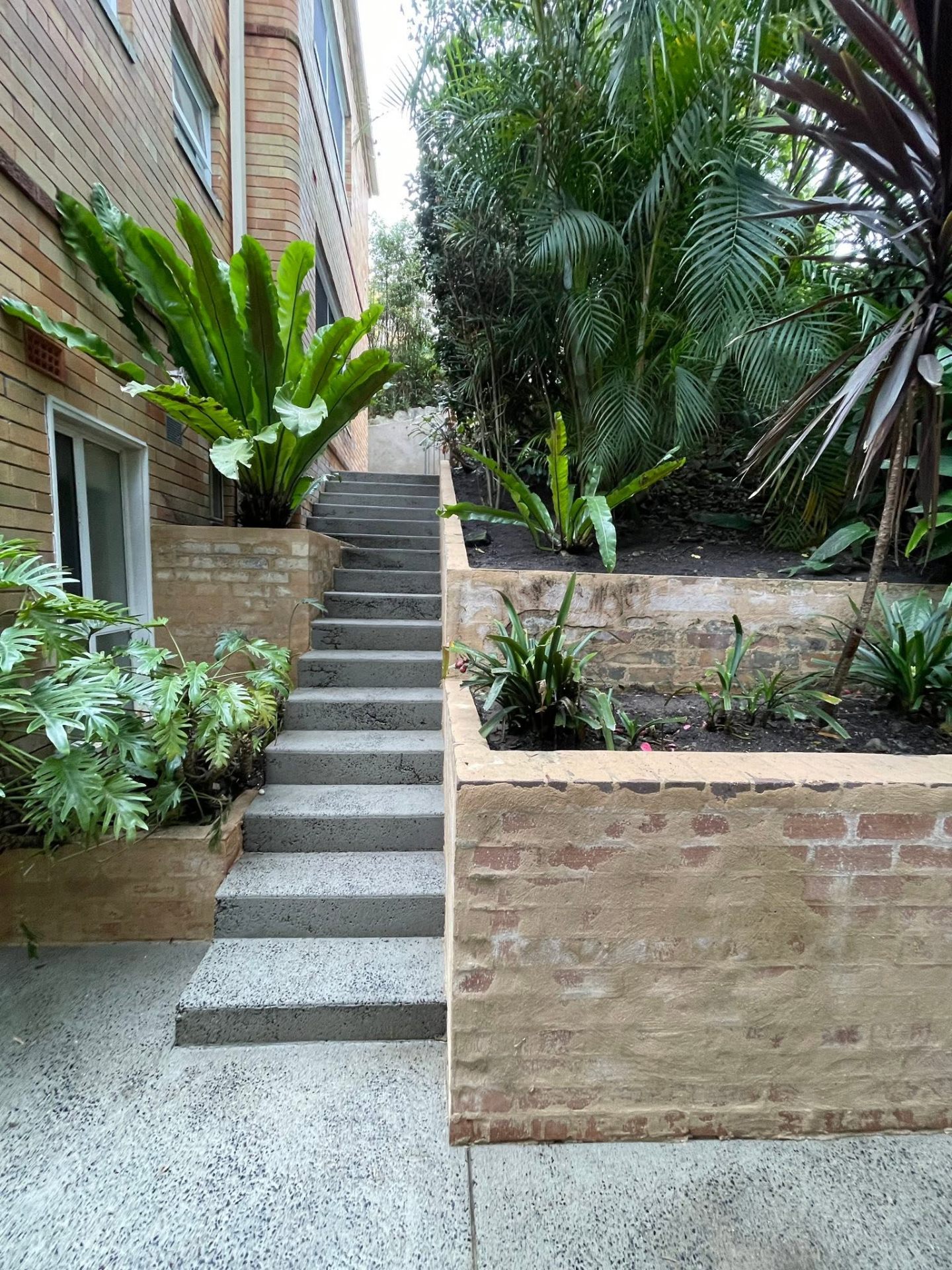 Northern Beaches Hedge Program