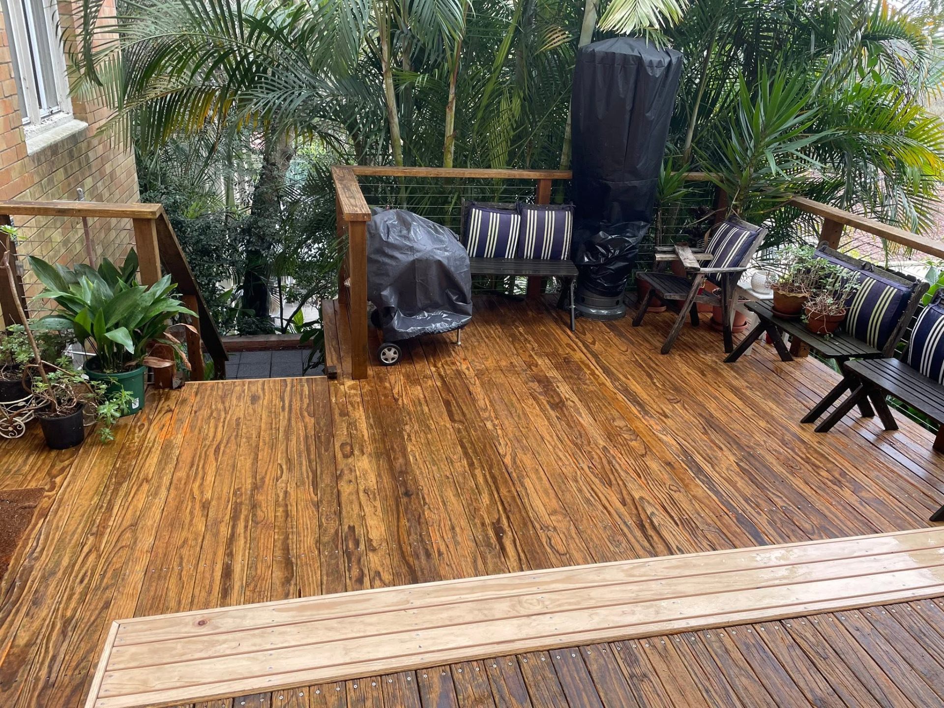 Neutral Bay Courtyard